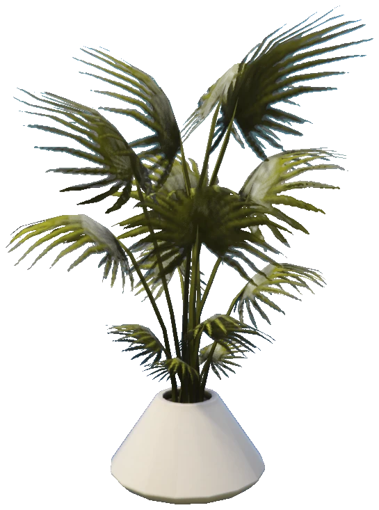 apa_mp_h_acc_plant_palm_01