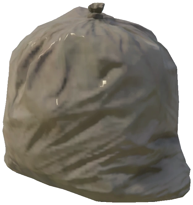 bkr_prop_fakeid_binbag_01