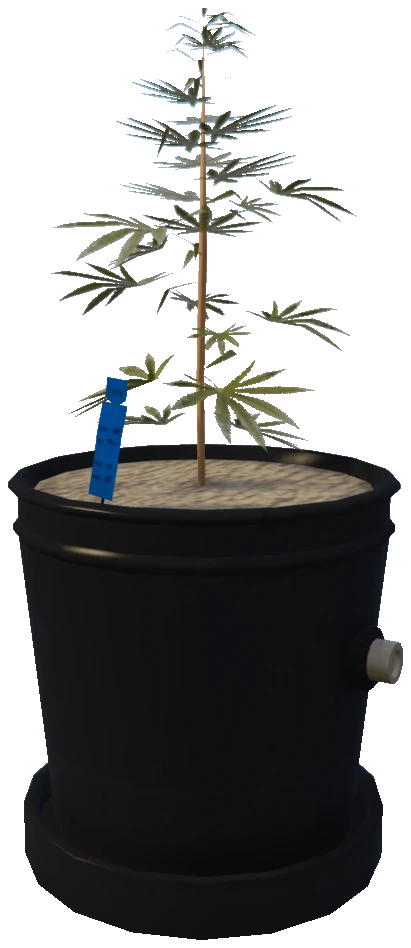 bkr_prop_weed_01_small_01a