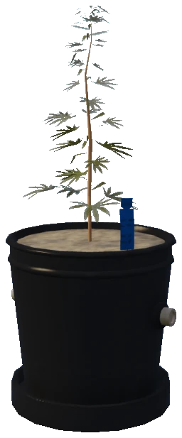 bkr_prop_weed_01_small_01b