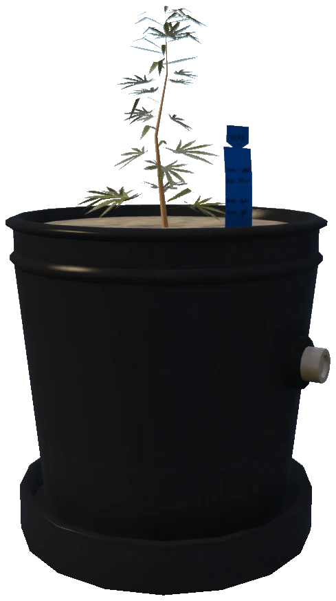 bkr_prop_weed_01_small_01c