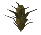 bkr_prop_weed_bud_01a
