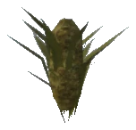 bkr_prop_weed_bud_01b