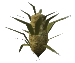 bkr_prop_weed_bud_02b