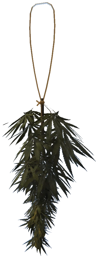 bkr_prop_weed_drying_01a