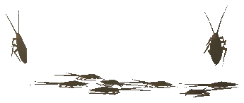 ch_prop_ch_cockroach_tub_01a