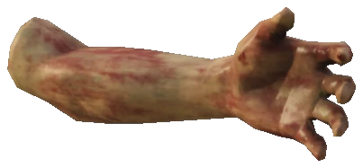 ch_prop_collectibles_limb_01a