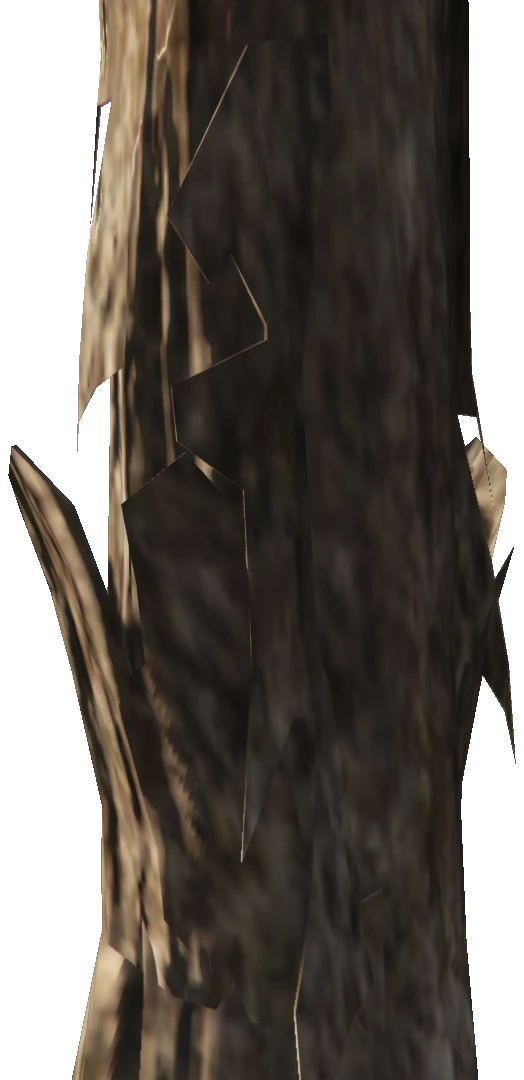 des_protree_root