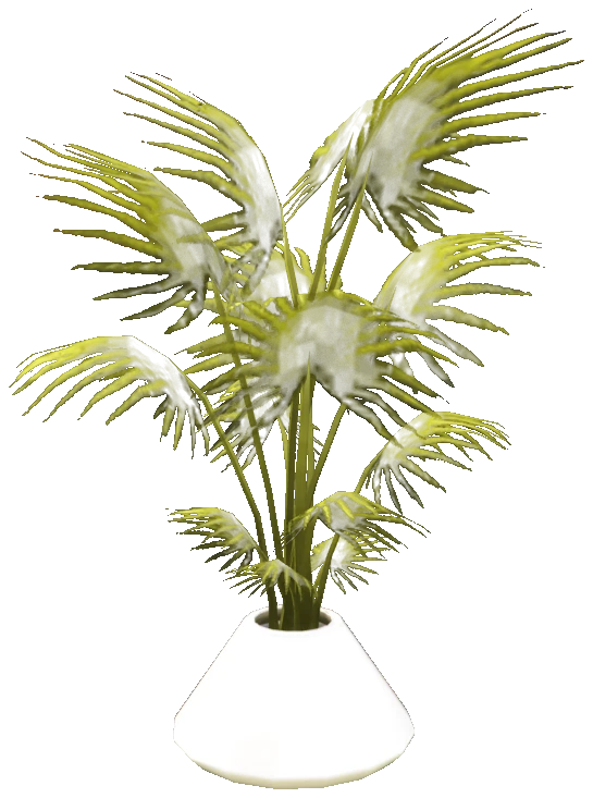 ex_mp_h_acc_plant_palm_01