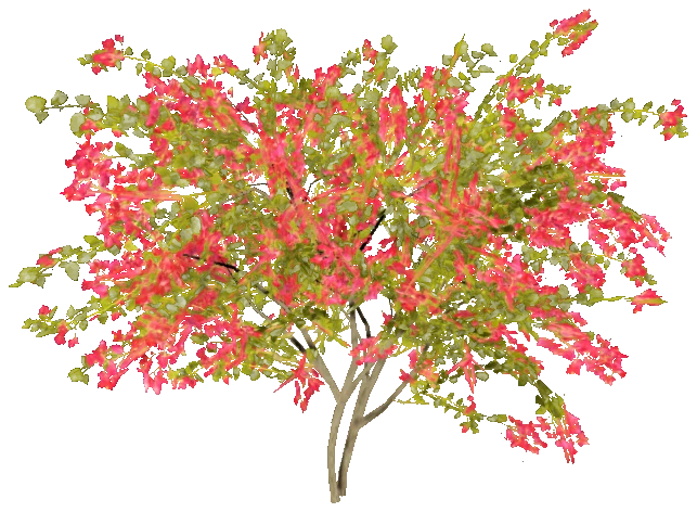 h4_prop_bush_bgnvla_lrg_01