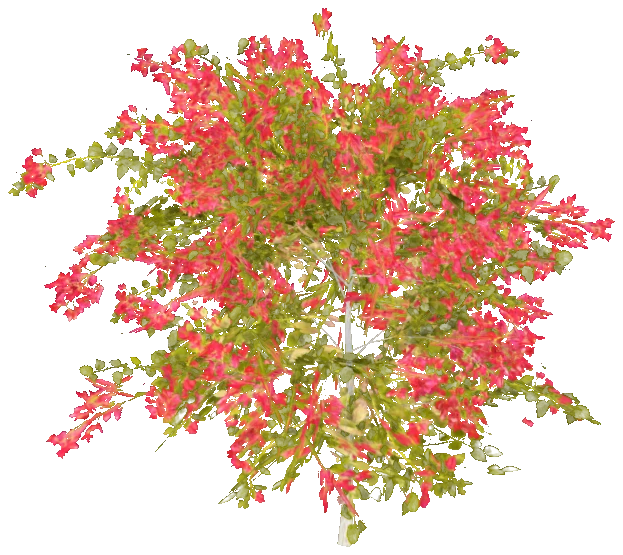 h4_prop_bush_bgnvla_med_01