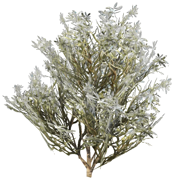 h4_prop_bush_boxwood_med_01