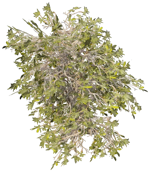 h4_prop_bush_mang_lrg_02