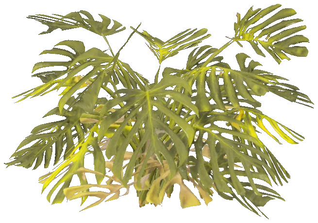 h4_prop_bush_monstera_med_01