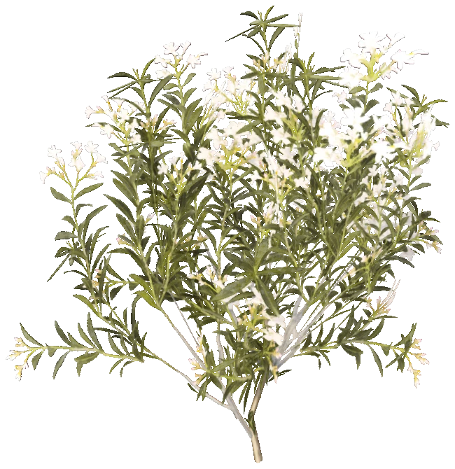 h4_prop_bush_olndr_white_sml