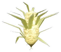 h4_prop_h4_weed_bud_02b