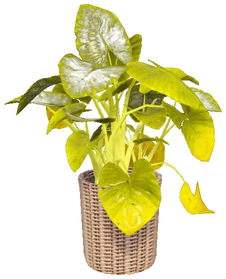 h4_prop_int_plants_02