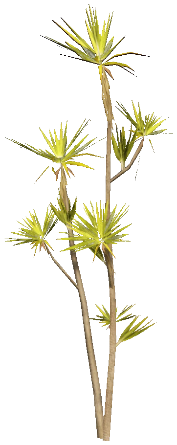 h4_prop_tree_dracaena_sml_01