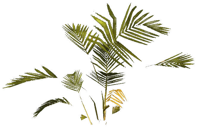 h4_prop_tree_palm_areca_sap_02