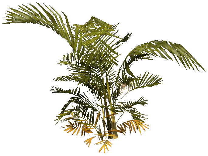 h4_prop_tree_palm_areca_sap_03