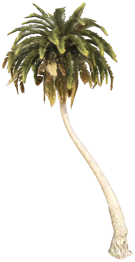 h4_prop_tree_palm_fan_bea_03b