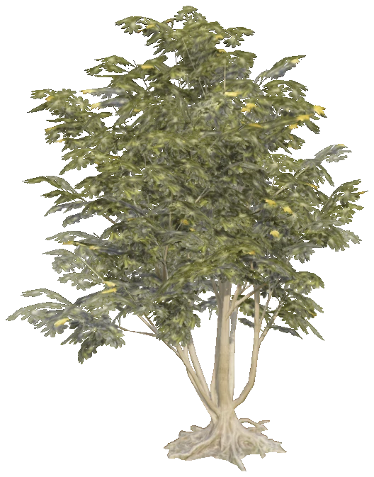 h4_prop_tree_umbrella_med_01