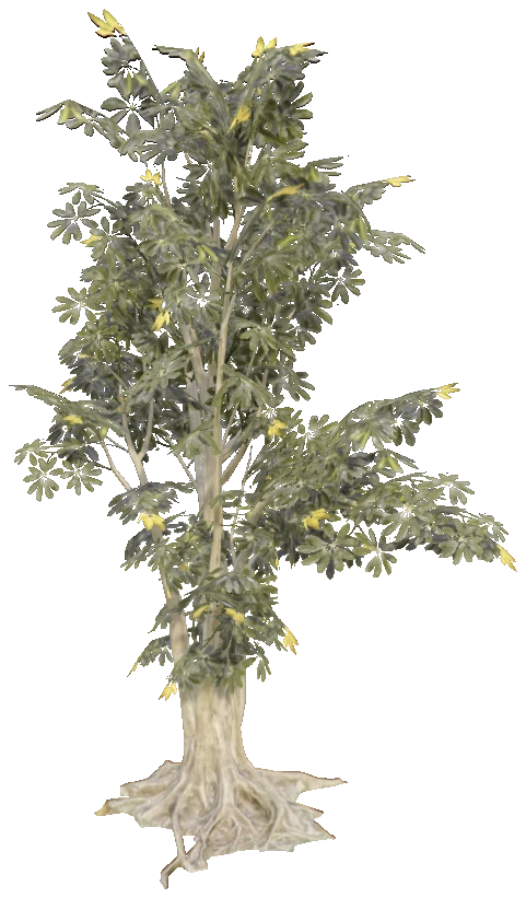 h4_prop_tree_umbrella_sml_01