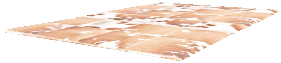 hei_heist_acc_rughidel_01