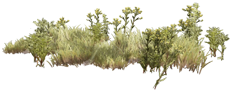 hei_prop_hei_new_plant