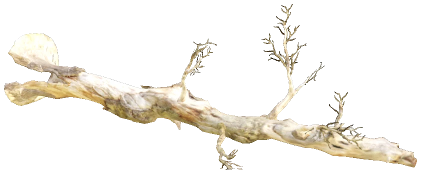 hei_prop_hei_tree_fallen_02