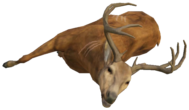 m23_2_prop_m32_deercarcass_01a