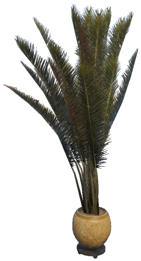 m24_1_prop_m41_palmplant_01a