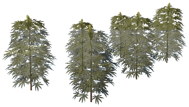 m25_1_prop_m51_weed_set_01a