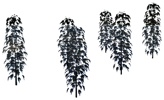 m25_1_prop_m51_weed_set_02a
