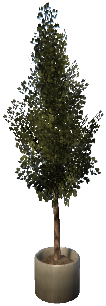 m25_2_prop_m52_art_plant_06a