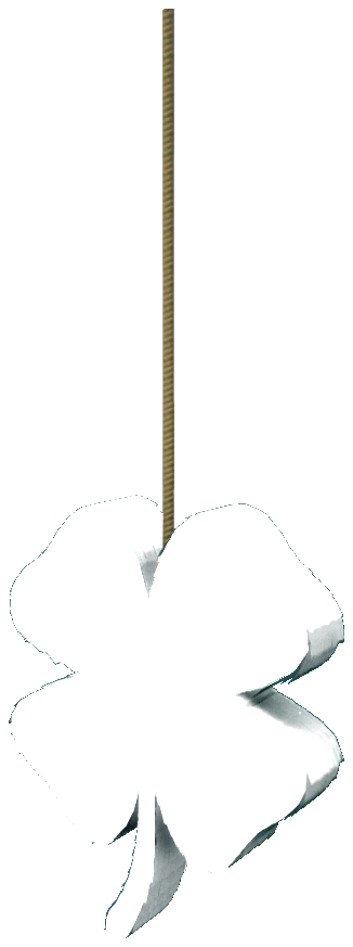 m25_2_prop_m52_clovergreen_01a