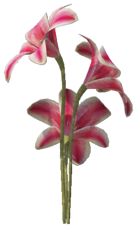 m25_2_prop_m52_giantflower_01a