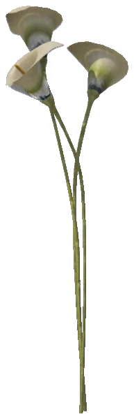 m25_2_prop_m52_giantflower_02a