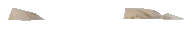 ng_proc_concchips03