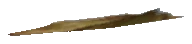 ng_proc_leaves01