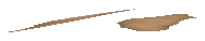 ng_proc_leaves02