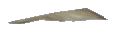 ng_proc_leaves03