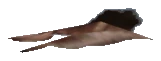 ng_proc_leaves07