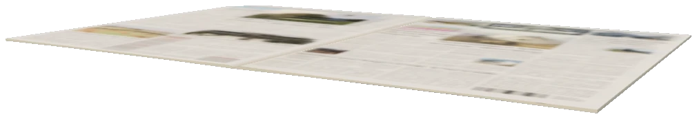 p_cs_newspaper_s