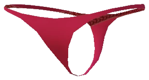 p_cs_panties_03_s