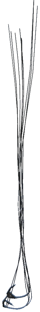 p_cs_para_ropes_s