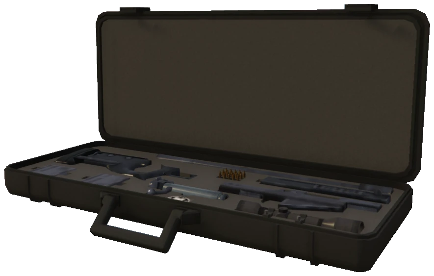 p_gcase_s