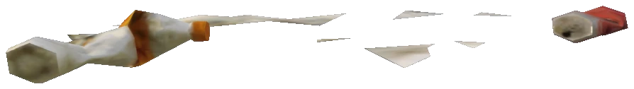 proc_litter_01