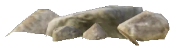 proc_mntn_stone02