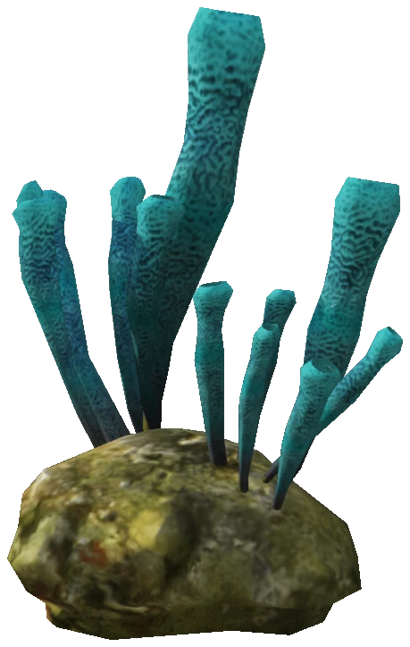 proc_searock_01